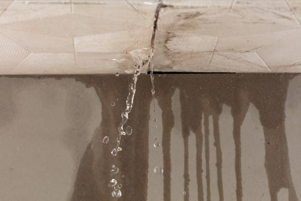 Professional Structural Drying technician working in Silverton, TX